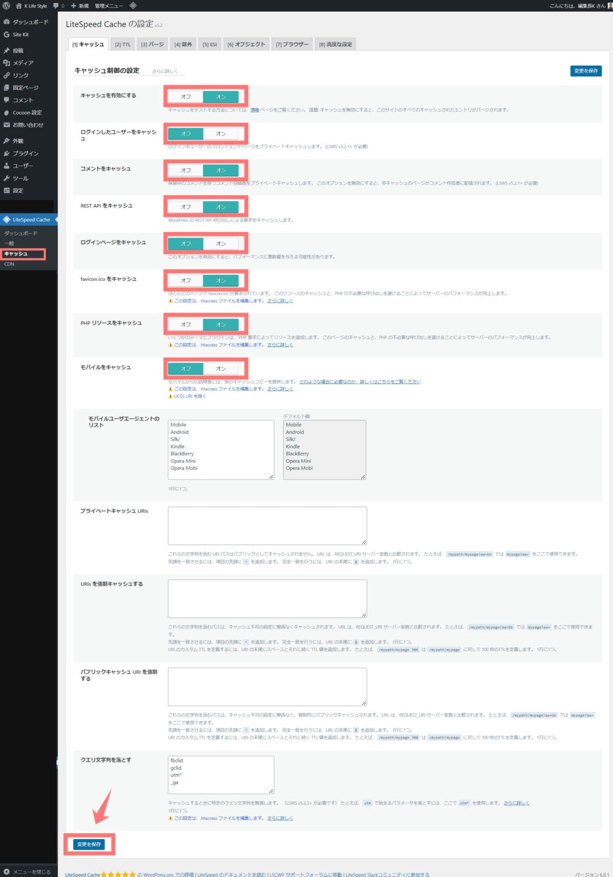 wp-litespeed cache-2cache