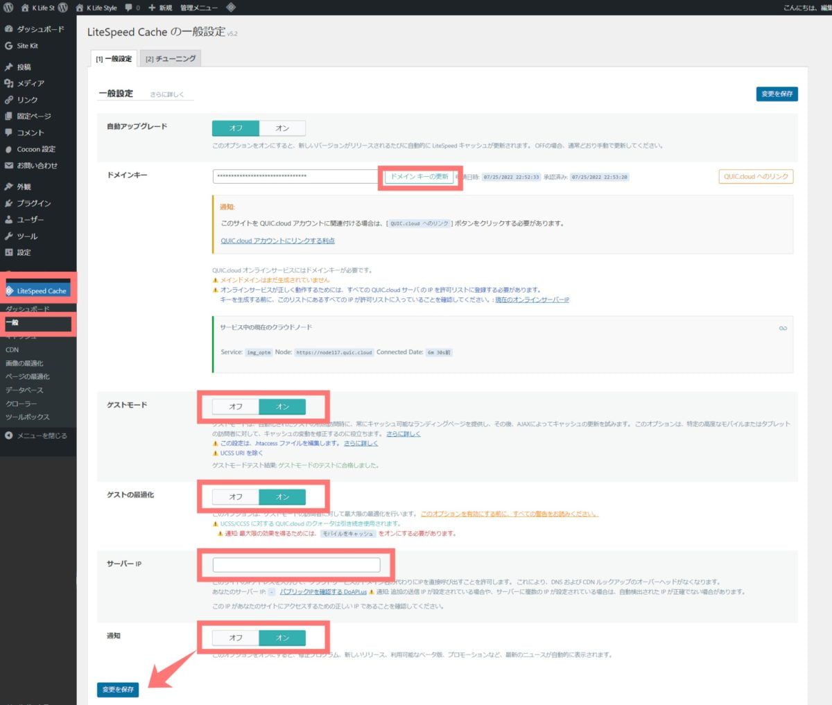 wp-litespeed cache1-1